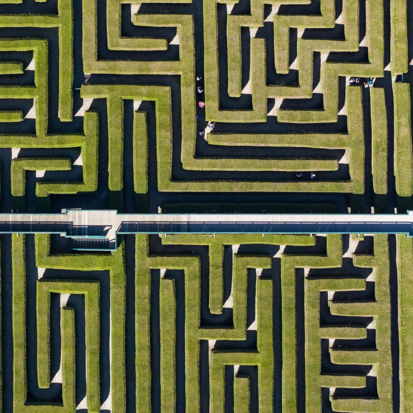 Kleinwelka, Deutschland. Besucher gehen im Irrgarten zwischen den immergrünen Thuja-Hecken entlang. Das Natur-Labyrinth gehört zu den Attraktionen im Saurierpark und dürfte manchen Besucher in Verwirrung stürzen. Bisher sind aber alle wieder unbeschadet herausgekommen.