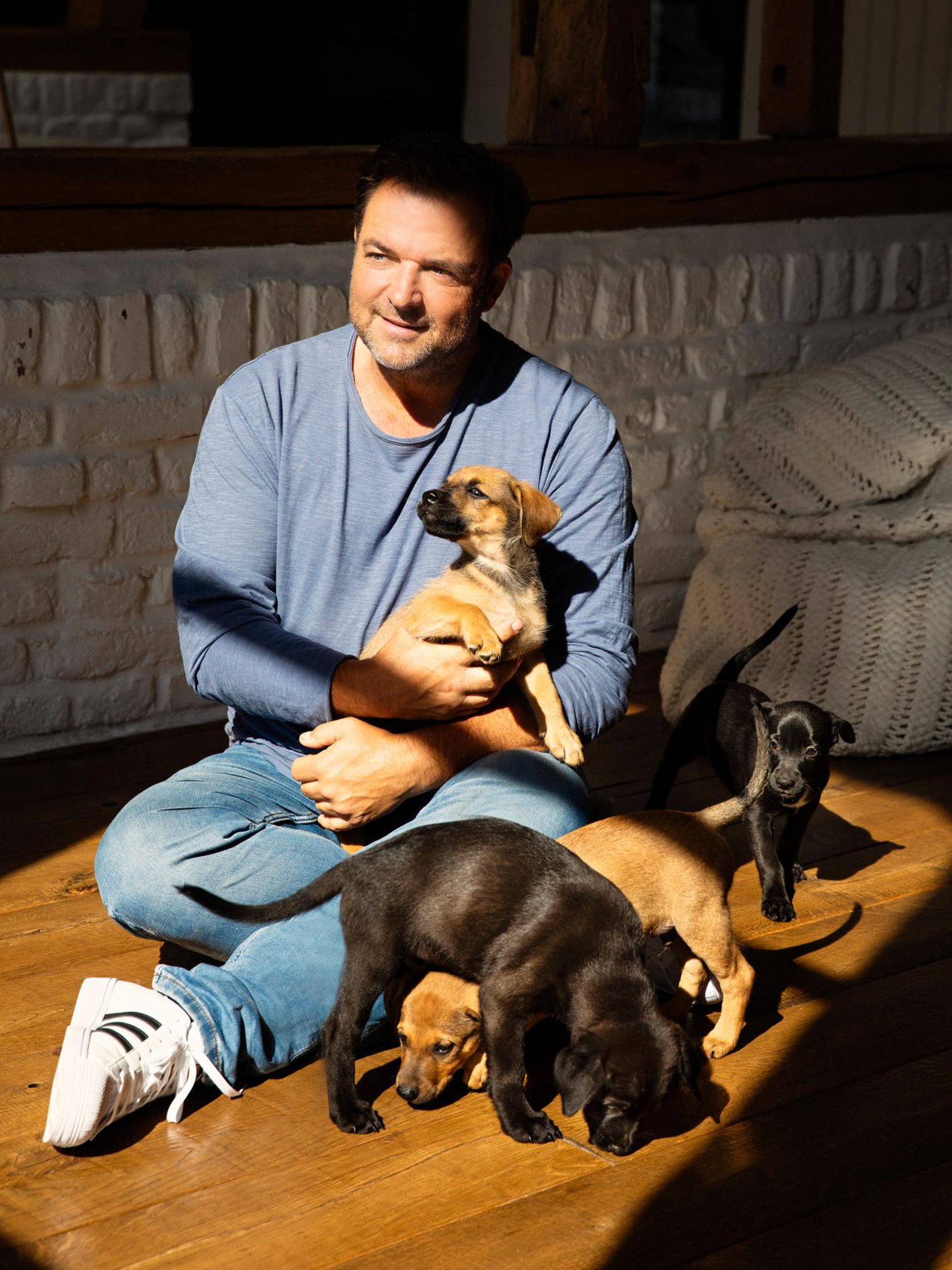 Martin Rütter umgeben von Welpen