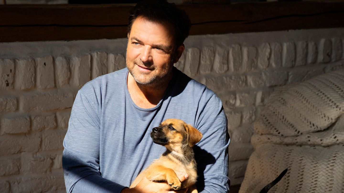 Tipps vom Profi: Hundetrainer Martin Rütter: Das sind die drei größten Erziehungsfehler