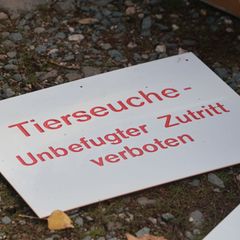 Im Landkreis Oder-Spree in Brandenburg ist ein weiterer Ausbruch der Newcastle-Krankheit amtlich festgestellt worden. (Symbolbil