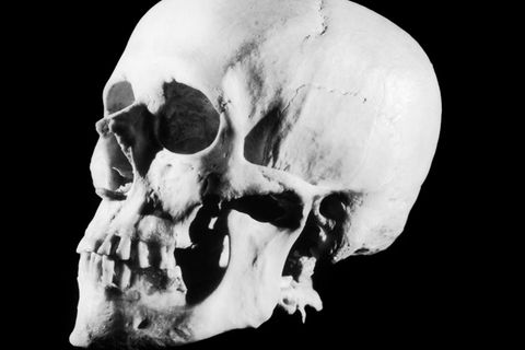 In der Stadt Rheine im Münsterland wurde ein menschlicher Totenschädel entdeckt (Symbolbild)