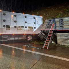 Innenminister Ebling stellt die Unfallbilanz 2025 und Konsequenzen daraus vor. (Archivbild) Foto: Sascha Ditscher/dpa