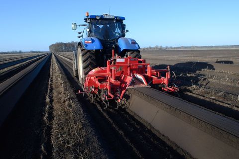 Weniger Stickstoff soll Gewässer schützen - kann aber Erträge mindern. (Archivbild) Foto: Klaus-Dietmar Gabbert/dpa