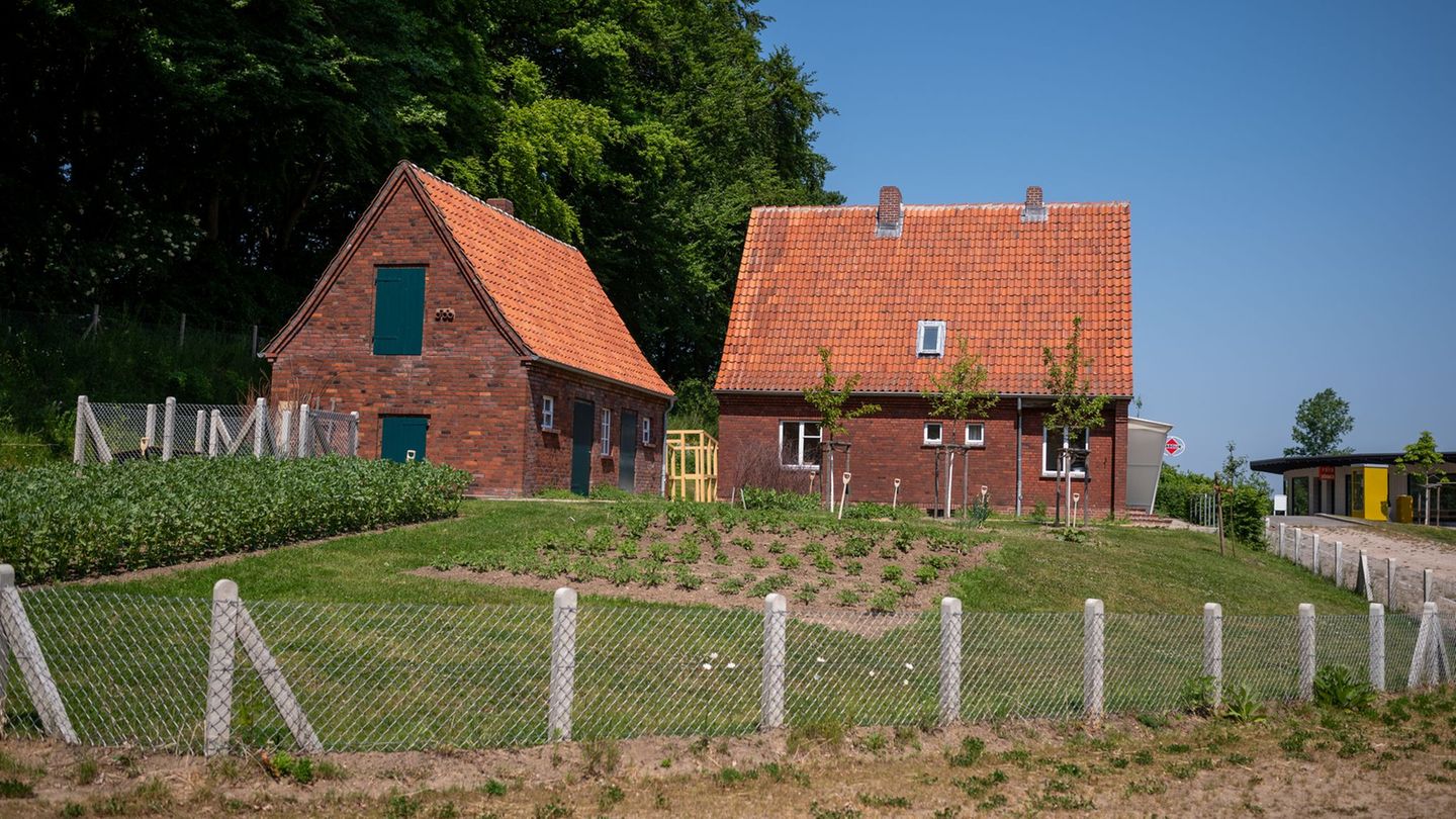 Alte Obstbäume: Apfel des Jahres am Kiekeberg gepflanzt