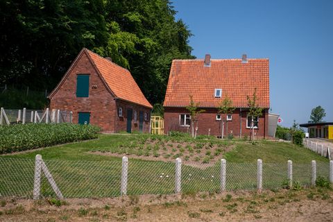 Nach dem Krieg bauten viele Menschen Obst und Gemüse an. (Archivbild) Foto: Philipp Schulze/dpa