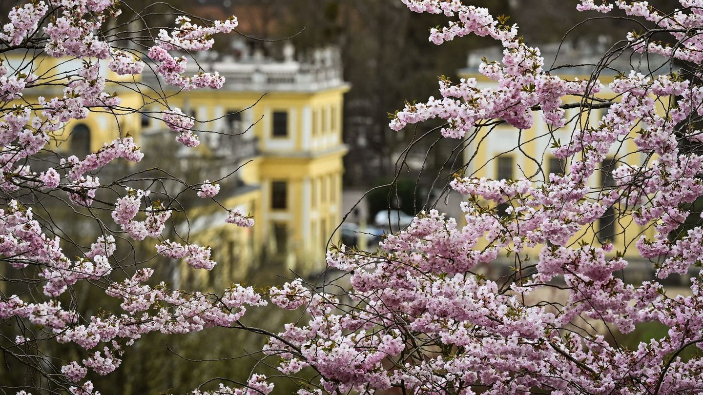 Wettervorhersage: Erst Sonne, dann Regen - Aprilwetter in Hessen