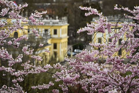 Schleierwolken, aber Sonne: Der April beschert Hessen einen weiteren schönen Tag (Archivbild). Foto: Swen Pförtner/dpa