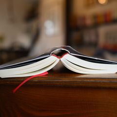 Das Ehepaar wollte eine Büchersammlung verkaufen. (Symbolbild) Foto: Robert Michael/dpa