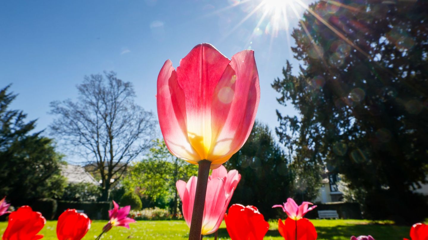 In den kommenden Tag wechseln sich Sonne und Wolken ab, am Sonntag kann es auch regnen. (Archivbild) Foto: Thomas Banneyer/dpa