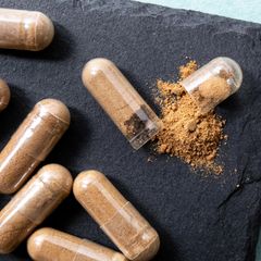 Withania somnifera, bekannt als Ashwagandha, wird in Europa häufig in Form von Kapseln verkauft