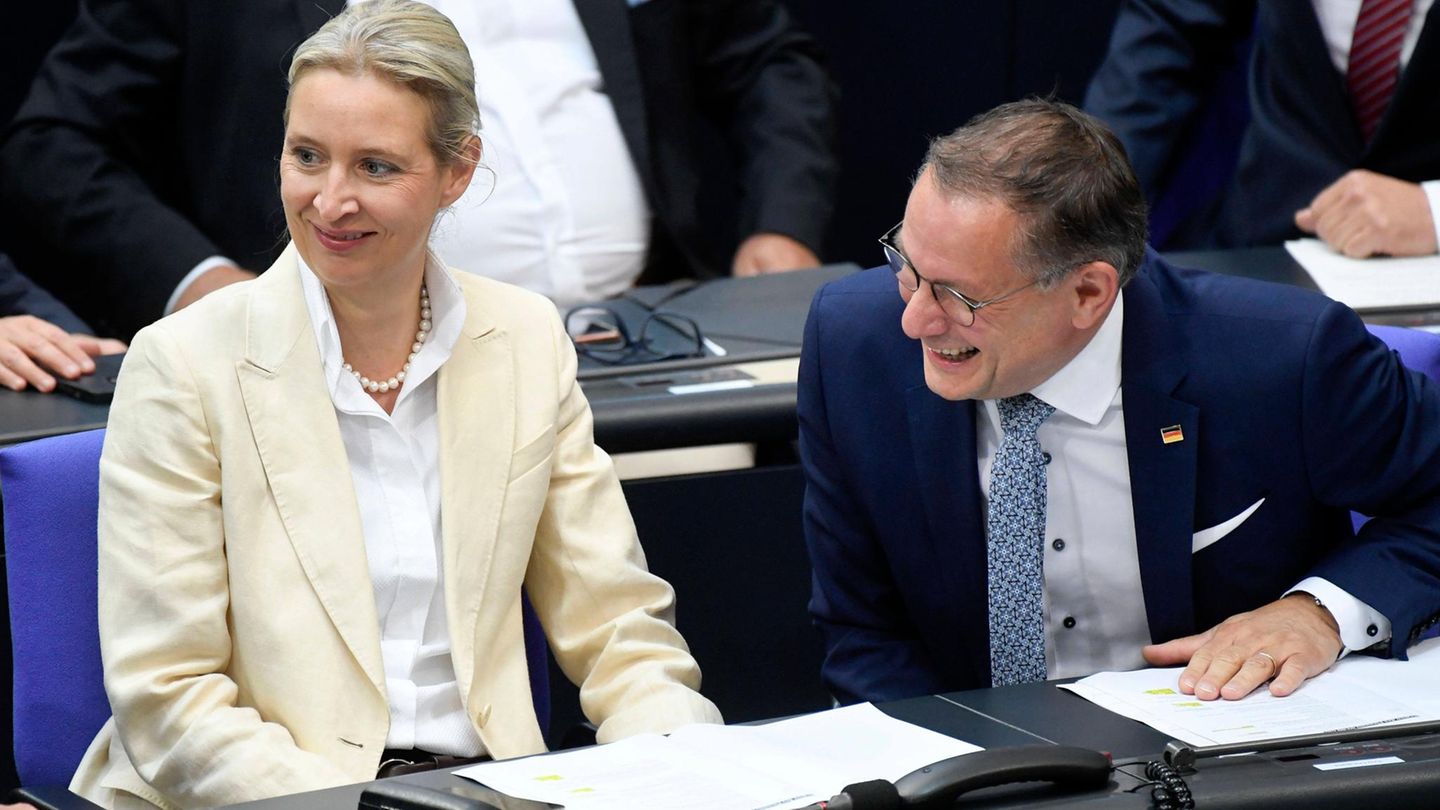 AfD-Fraktionsvorsitzende Alice Weidel und Tino Chrupalla im Bundestag