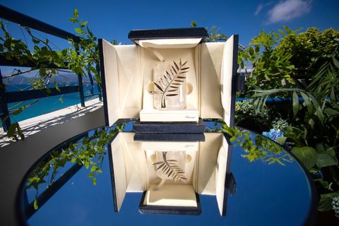 Die 79. Internationalen Filmfestspiele von Cannes finden vom 12. bis 23. Mai statt - diesmal mit hessischer Beteiligung. (Symbol