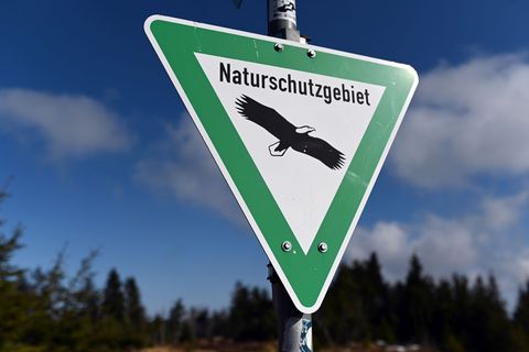 Streng verboten: Autowäsche im Naturschutzgebiet. (Archivbild) Foto: Uli Deck/dpa