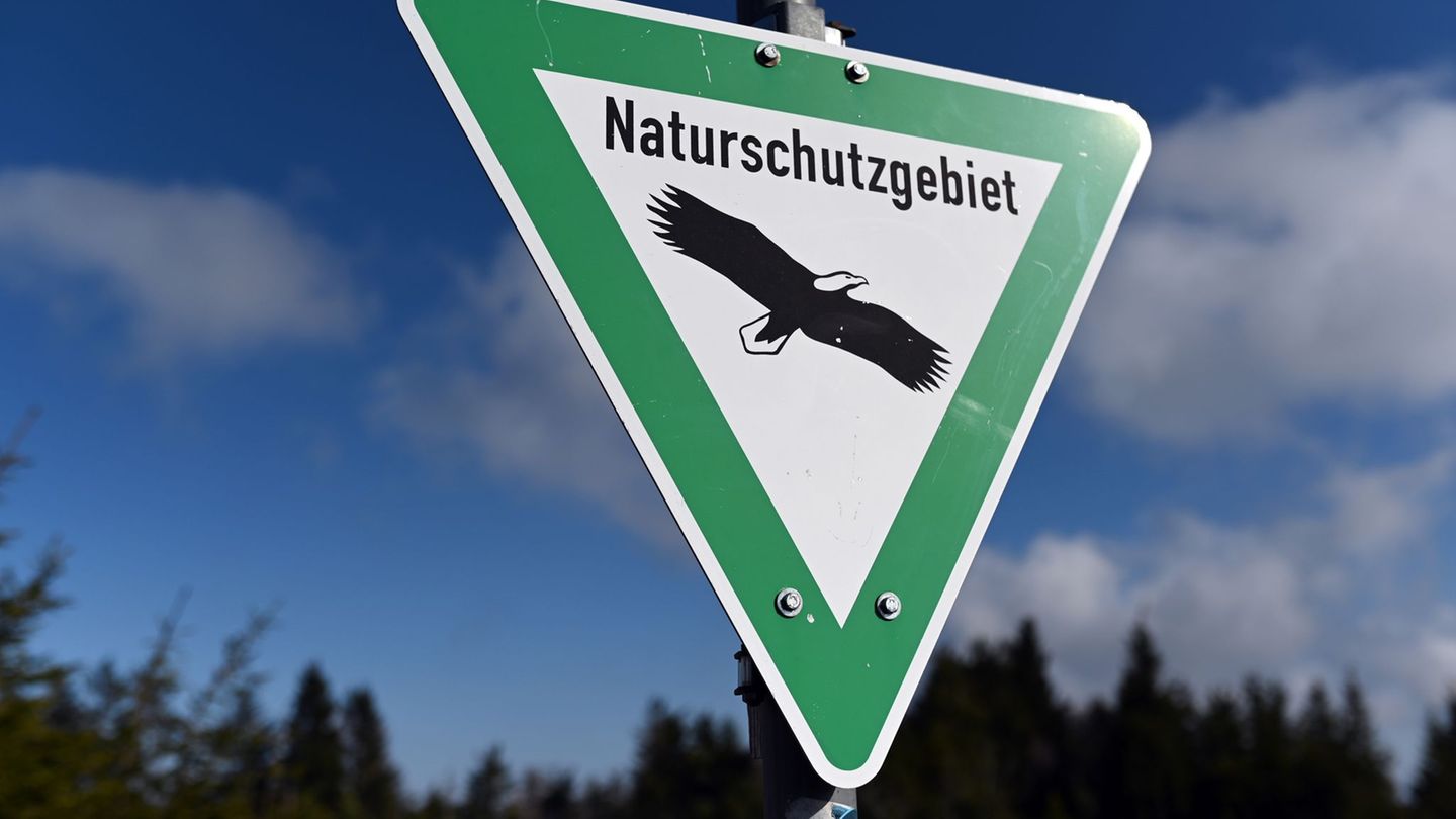 Streng verboten: Autowäsche im Naturschutzgebiet. (Archivbild) Foto: Uli Deck/dpa
