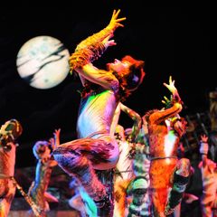 Mit dem Musical "Cats" fing in Hamburg alles an - seitdem locken die Musical-Produktionen jährlich rund zwei Millionen Menschen