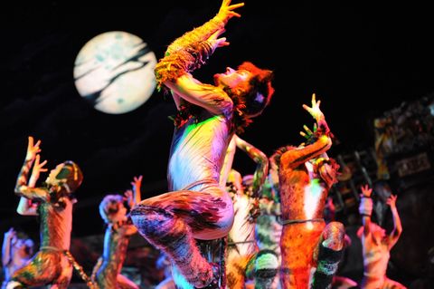 Mit dem Musical "Cats" fing in Hamburg alles an - seitdem locken die Musical-Produktionen jährlich rund zwei Millionen Menschen