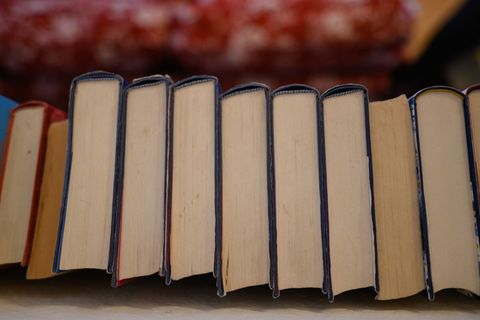 Die Polizei warnt vor Betrugsmaschen beim Verkauf von Büchern. (Symbolbild) Foto: Robert Michael/dpa