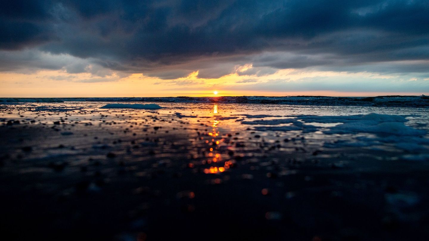 Zum Nationalpark-Geburtstag: Surfende Schnecken, wandernde Inseln: 40 Wattenmeer-Fakten
