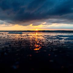 Der Nationalpark Niedersächsisches Wattenmeer feiert sein 40-jähriges Bestehen. (Archivbild) Foto: Hauke-Christian Dittrich/dpa