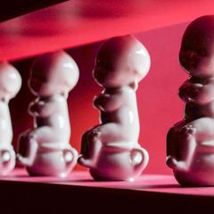 Ganzjährig thematisieren die Porzellanwelten auf der Leuchtenburg bei Kahla die Bedeutung von Porzellan. (Symbolbild) Foto: Jens