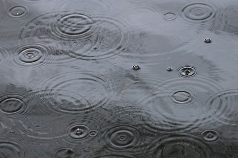 Der Start ins Wochenende wird etwas regnerisch. (Archivbild) Foto: Christoph Schmidt/dpa