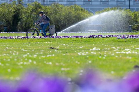 Ein Wettermix aus Sonne, Wolken sagt der Deutsche Wetterdienst für die nächsten Tage voraus. (Archivfoto) Foto: Sven Hoppe/dpa