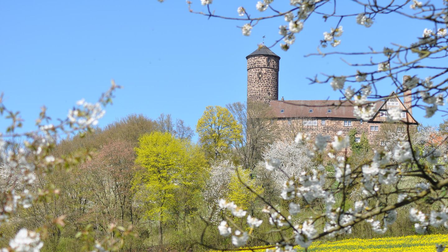 Kirschbäume blühen in Witzenhausen