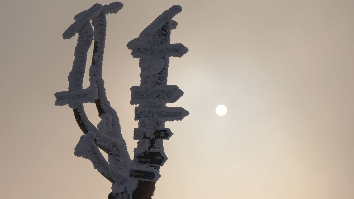 Wetter: Leichter Schneefall im Erzgebirge zum Wochenende
