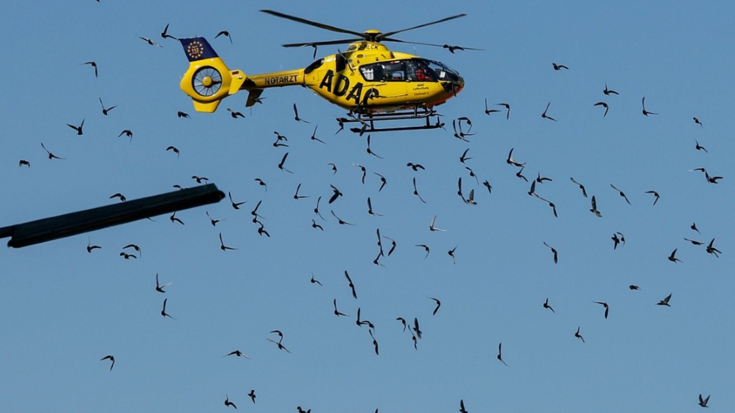 Achtjährige bei Sturz in Neandertaler-Höhle in Baden-Württemberg schwer verletzt