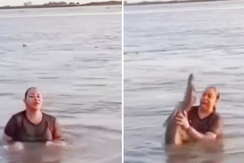 Eine Frau badet in einer Lagune und findet plötzlich ein Krokodil.