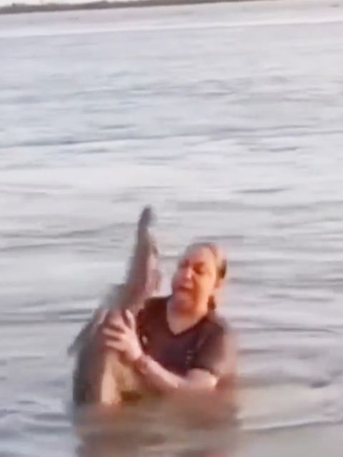 Eine Frau badet in einer Lagune und findet plötzlich ein Krokodil.