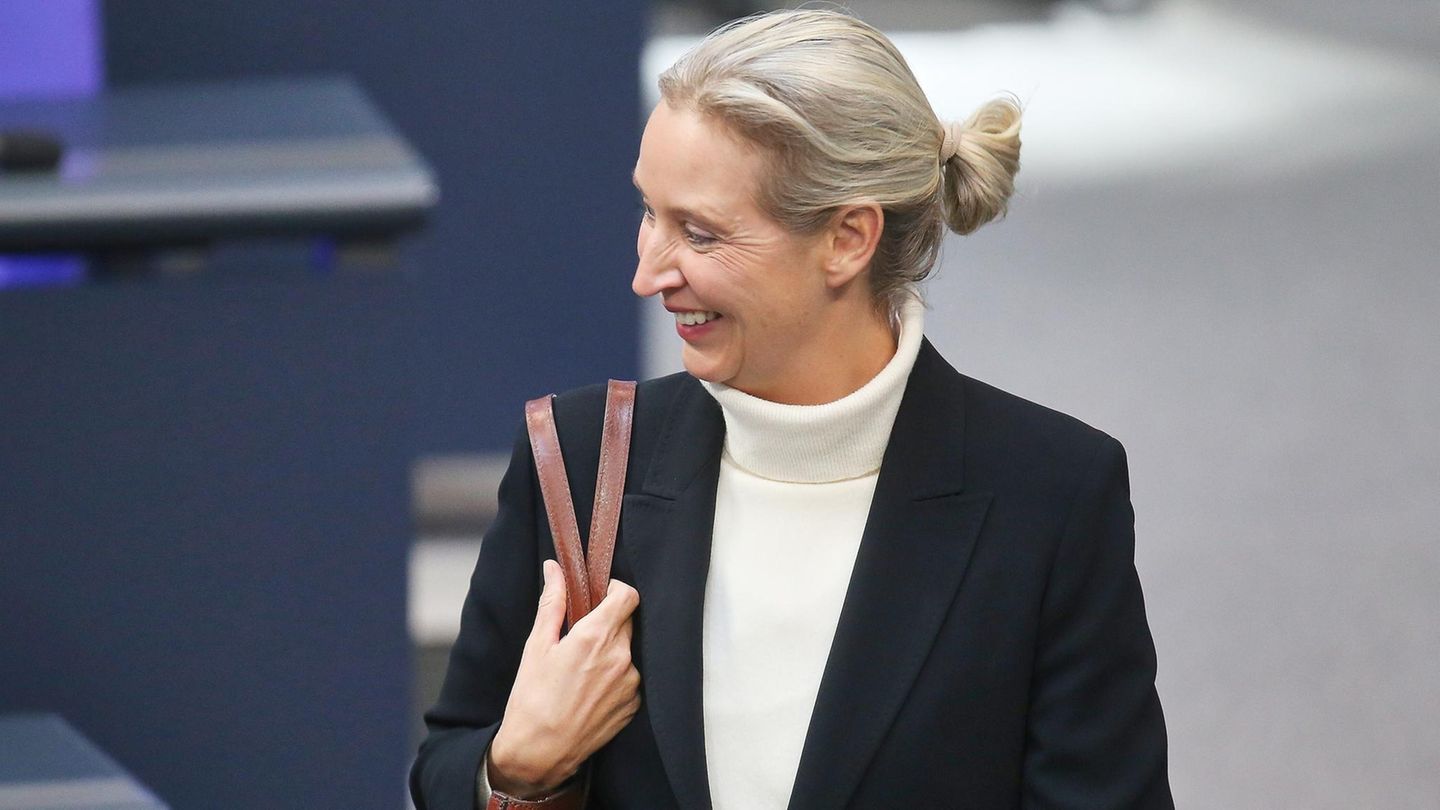 Karaoke statt Konfrontation: Wie die AfD ihre Affären wegignoriert