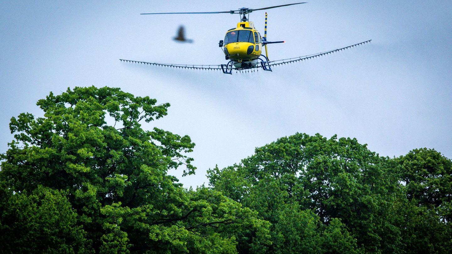 Ein Hubschrauber soll im Drömling befallene Eichenbestände aus der Luft behandeln. (Symbolbild) Foto: Jens Büttner/dpa