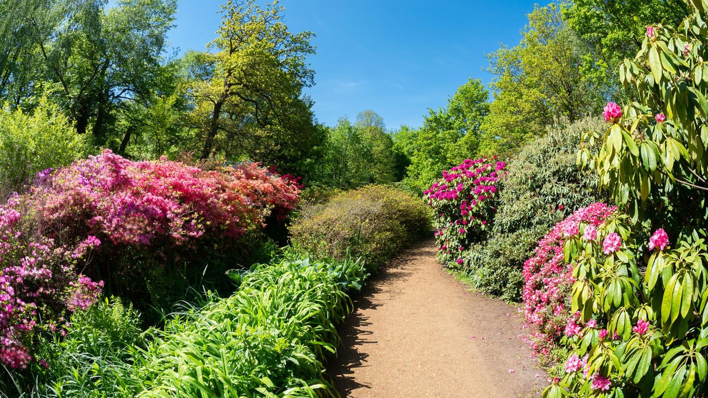 Isabella Plantation London, England