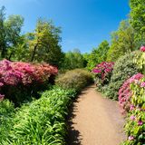 Isabella Plantation London, England