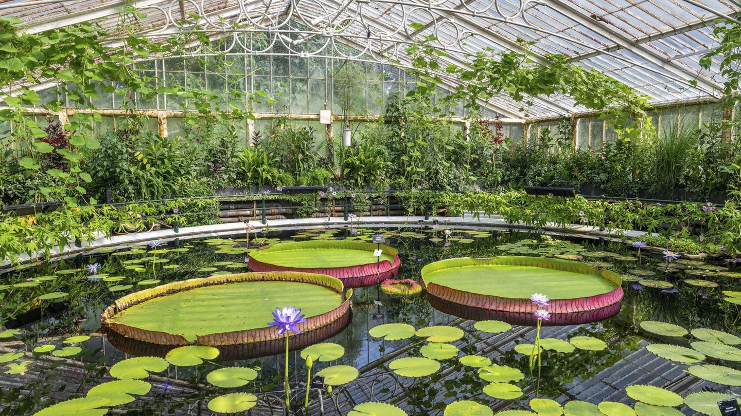 Kew Royal Botanic Gardens, London, England