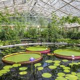 Kew Royal Botanic Gardens, London, England