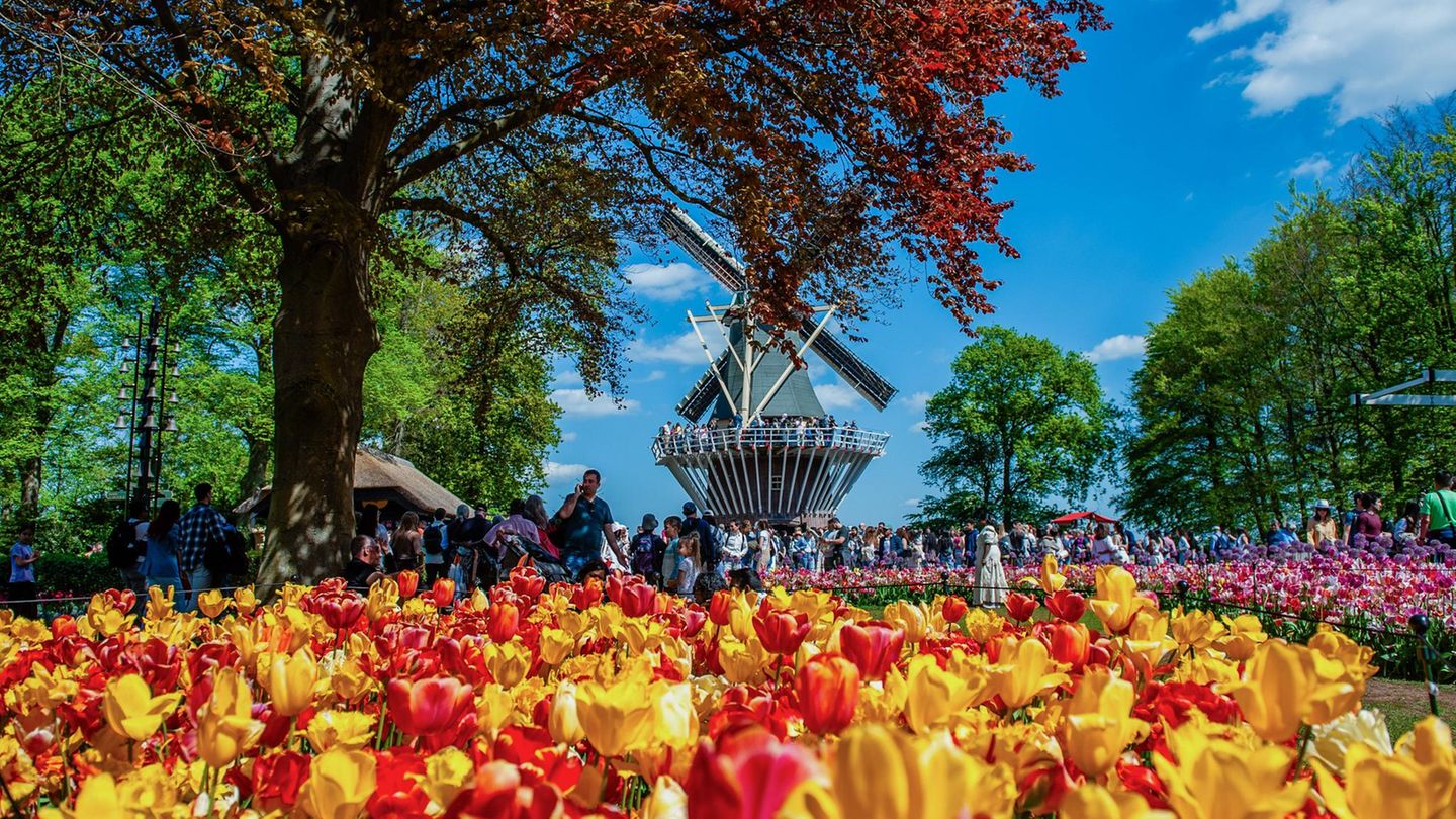 Keukenhof Lisse, Niederlande