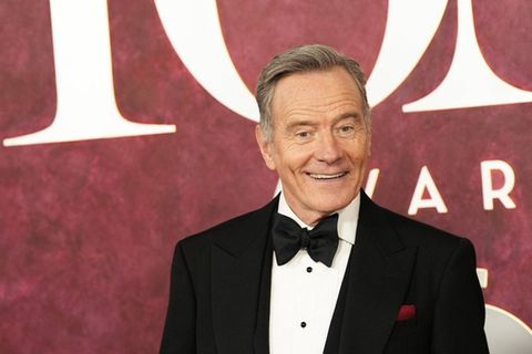 Bryan Cranston hat keine guten Erinnerungen an Bienen - dank "Malcolm mittendrin".