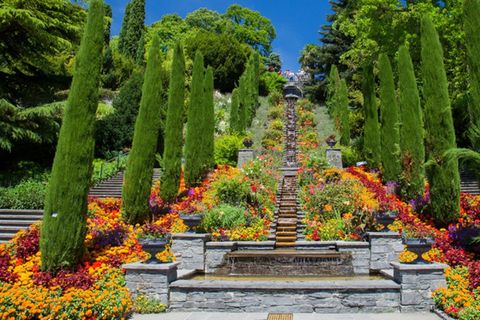 Die Insel Mainau ist im Frühling und darüber hinaus bekannt als blühendes Blumenparadies.