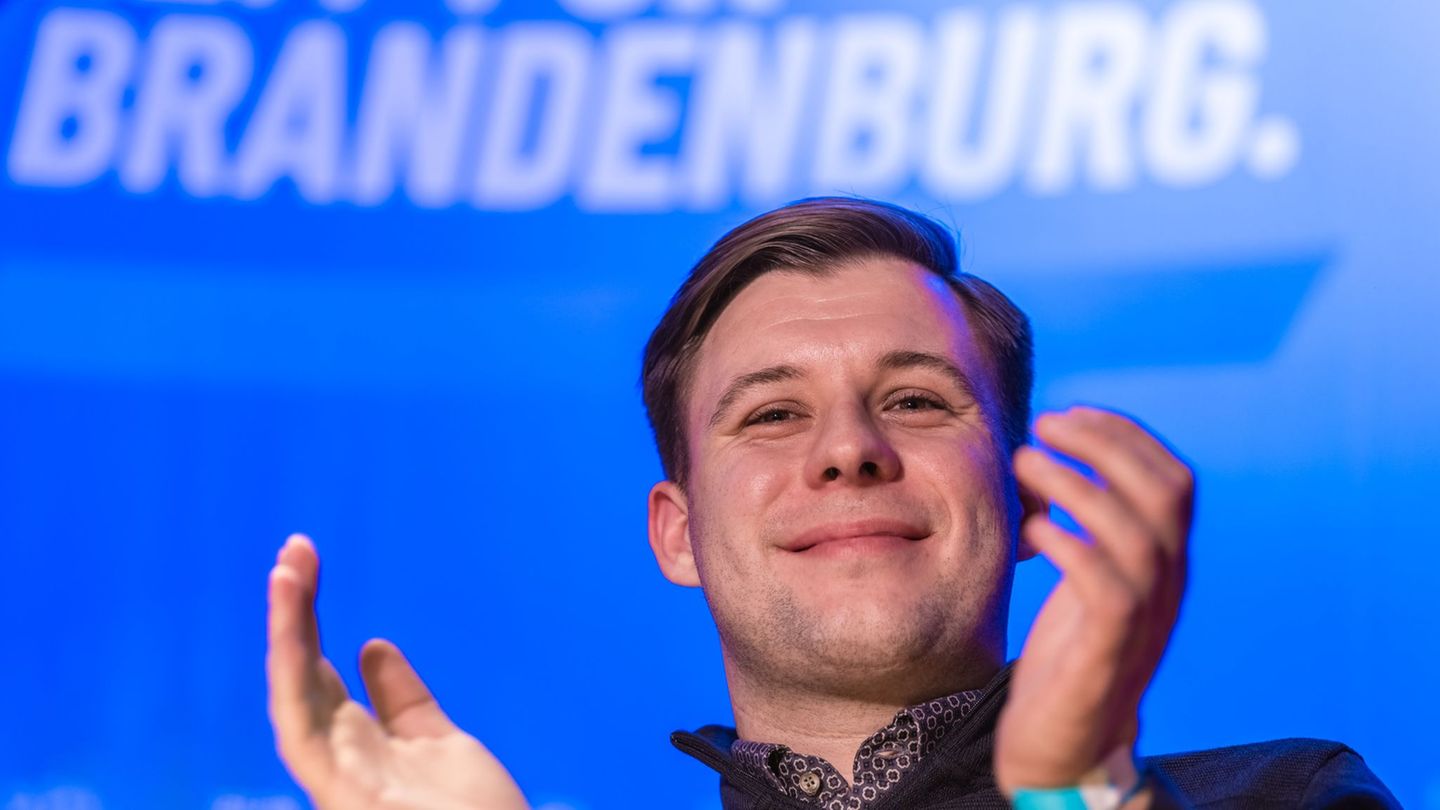 Parteien: Thüringer AfD will Jugend-Vertreter im Bundesvorstand