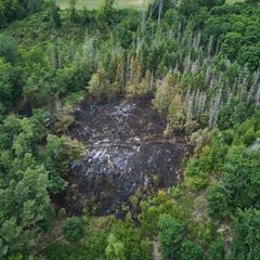 Im vergangenen Sommer brannte es unter anderem im Westerwald, generell ist Rheinland-Pfalz jedoch kein Bundesland mit einem beso