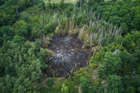 Im vergangenen Sommer brannte es unter anderem im Westerwald, generell ist Rheinland-Pfalz jedoch kein Bundesland mit einem beso