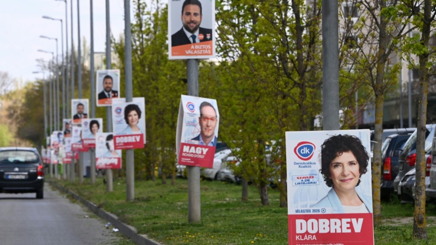 Haßelmann hofft auf Regierungswechsel in Ungarn - und Neubeginn