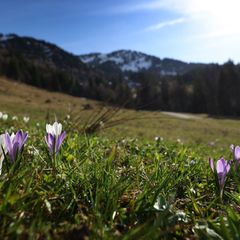 Frühlingsgefühle - und dann wieder Regen. Es bleibt das Aprilwetter. Foto: Karl-Josef Hildenbrand/dpa