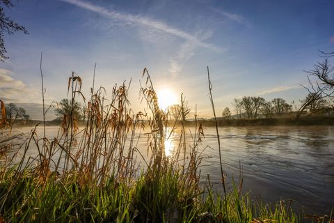 DWD: Zunächst viel Sonne am Samstag. (Archivbild) Foto: Thomas Warnack/dpa