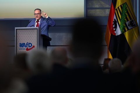 AfD Sachsen-Anhalt Reichardt