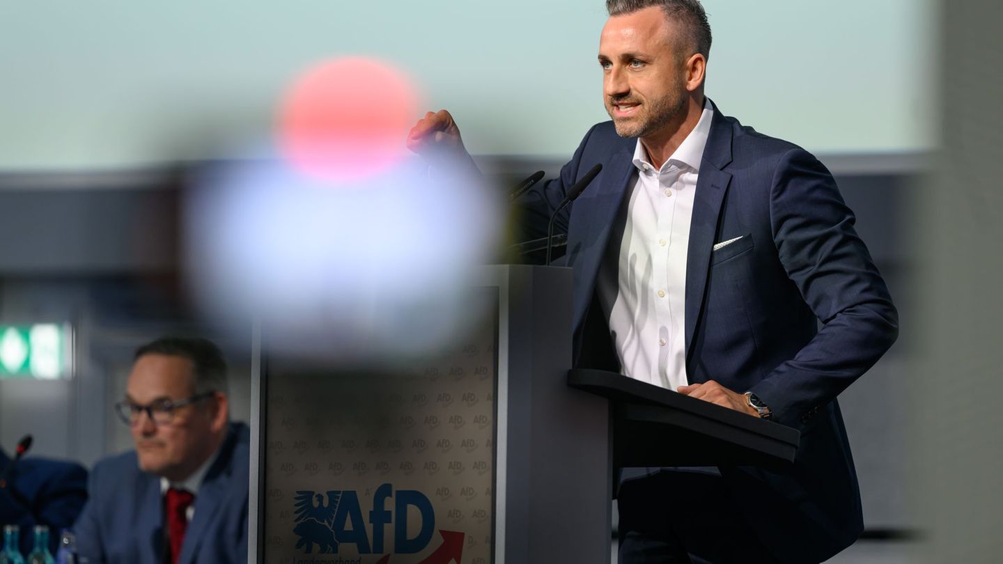 "Wir müssen es alleine schaffen", sagte AfD-Spitzenkandidat Ulrich Siegmund. Foto: Hendrik Schmidt/dpa