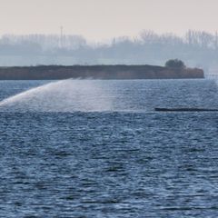 Seit mehr als einer Woche ist der Buckelwal in der Wismarbucht gestrandet. Foto: Marcus Golejewski/dpa