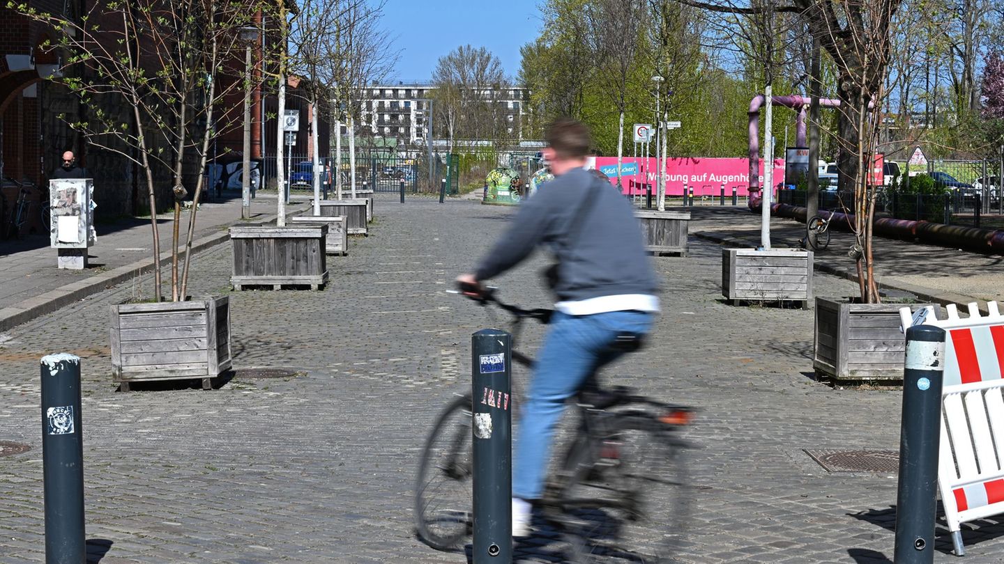 In der Danneckerstraße soll es nach dem Wunsch des Bezirksamts künftig noch deutlich grüner werden. Foto: Michael Brandt/dpa